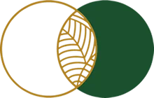 a_logo a_logo