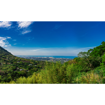 001-1.jpg
